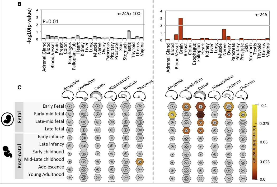 Role of Conserved Non-Coding Elements in Gene Expression architecture preview