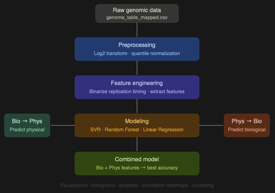 3D Genome Structure as a Predictor of Gene Expression architecture preview