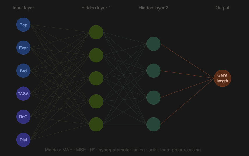 Neural Network for Gene Length Prediction architecture preview